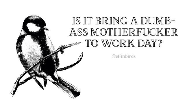 A woodcut of a bird beside the text "IS IT BRING A DUMB-ASS MOTHERFUCKER TO WORK DAY?"