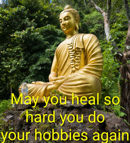 photo of a gold buddah statue amongst trees, caption says "may you heal so hard you do your hobbies again"